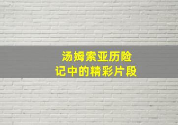 汤姆索亚历险记中的精彩片段