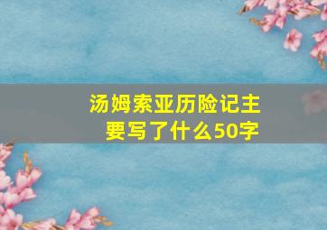 汤姆索亚历险记主要写了什么50字