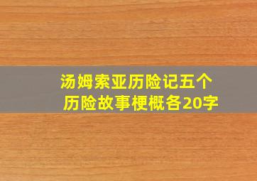 汤姆索亚历险记五个历险故事梗概各20字