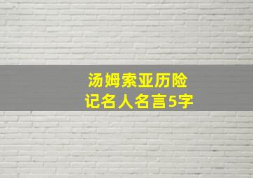 汤姆索亚历险记名人名言5字