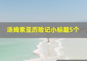 汤姆索亚历险记小标题5个