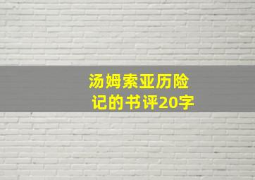 汤姆索亚历险记的书评20字