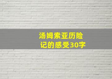 汤姆索亚历险记的感受30字