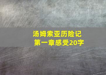 汤姆索亚历险记第一章感受20字