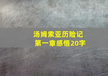 汤姆索亚历险记第一章感悟20字