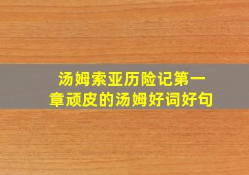 汤姆索亚历险记第一章顽皮的汤姆好词好句