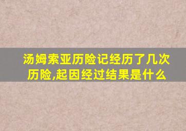 汤姆索亚历险记经历了几次历险,起因经过结果是什么