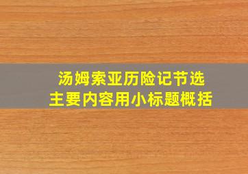 汤姆索亚历险记节选主要内容用小标题概括