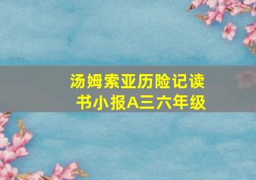 汤姆索亚历险记读书小报A三六年级