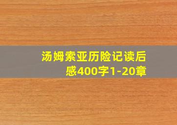 汤姆索亚历险记读后感400字1-20章