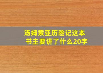 汤姆索亚历险记这本书主要讲了什么20字