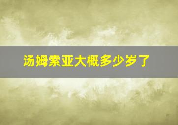 汤姆索亚大概多少岁了