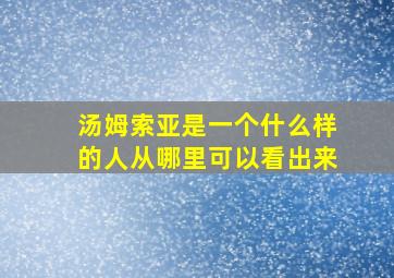 汤姆索亚是一个什么样的人从哪里可以看出来