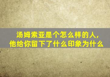 汤姆索亚是个怎么样的人,他给你留下了什么印象为什么