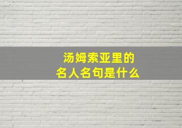 汤姆索亚里的名人名句是什么