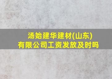 汤始建华建材(山东)有限公司工资发放及时吗