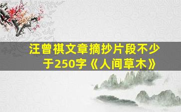 汪曾祺文章摘抄片段不少于250字《人间草木》