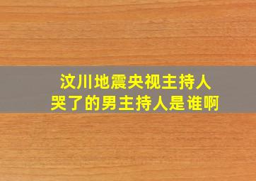 汶川地震央视主持人哭了的男主持人是谁啊