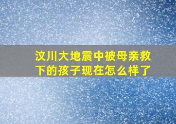 汶川大地震中被母亲救下的孩子现在怎么样了