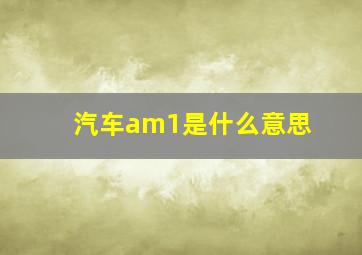 汽车am1是什么意思