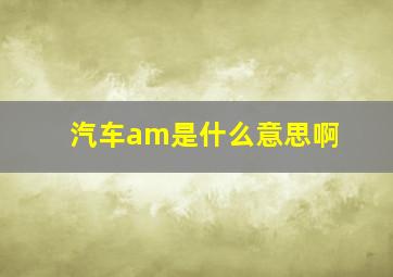 汽车am是什么意思啊