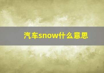 汽车snow什么意思