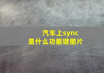 汽车上sync是什么功能键图片