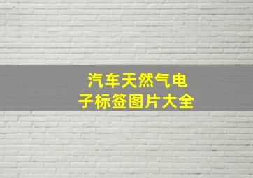 汽车天然气电子标签图片大全