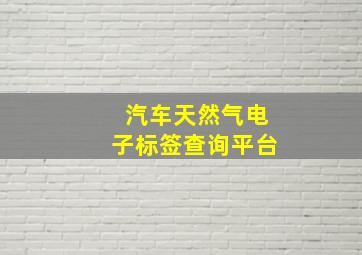 汽车天然气电子标签查询平台