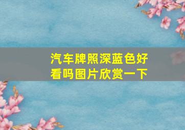 汽车牌照深蓝色好看吗图片欣赏一下