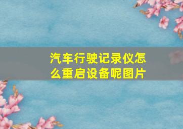 汽车行驶记录仪怎么重启设备呢图片