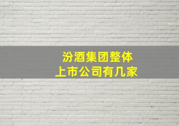 汾酒集团整体上市公司有几家