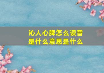 沁人心脾怎么读音是什么意思是什么