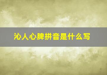 沁人心脾拼音是什么写