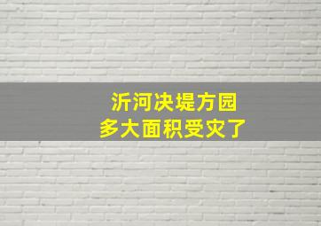 沂河决堤方园多大面积受灾了