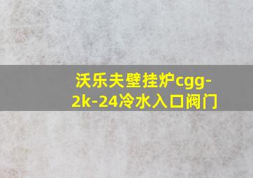 沃乐夫壁挂炉cgg-2k-24冷水入口阀门