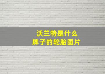 沃兰特是什么牌子的轮胎图片