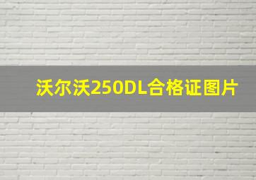 沃尔沃250DL合格证图片