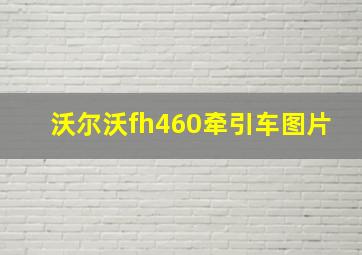 沃尔沃fh460牵引车图片