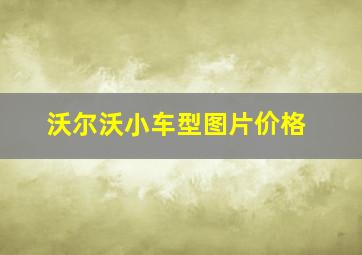 沃尔沃小车型图片价格