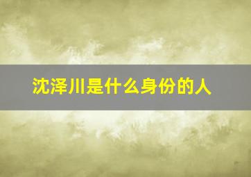 沈泽川是什么身份的人