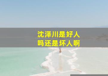 沈泽川是好人吗还是坏人啊