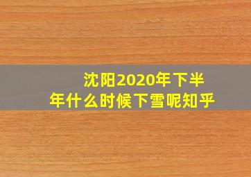 沈阳2020年下半年什么时候下雪呢知乎