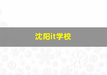 沈阳it学校