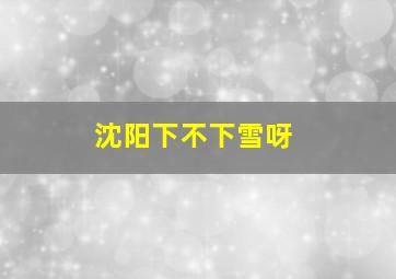 沈阳下不下雪呀