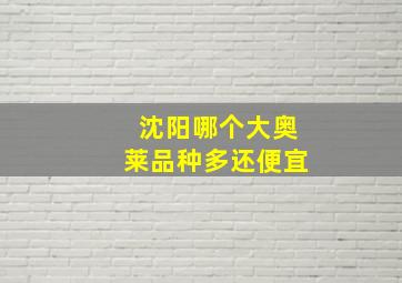 沈阳哪个大奥莱品种多还便宜