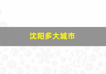 沈阳多大城市