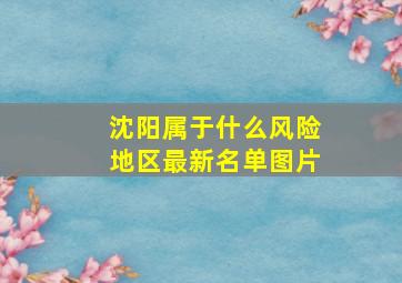 沈阳属于什么风险地区最新名单图片