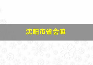 沈阳市省会嘛