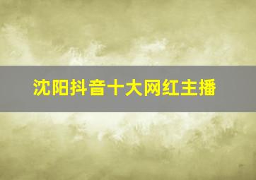 沈阳抖音十大网红主播